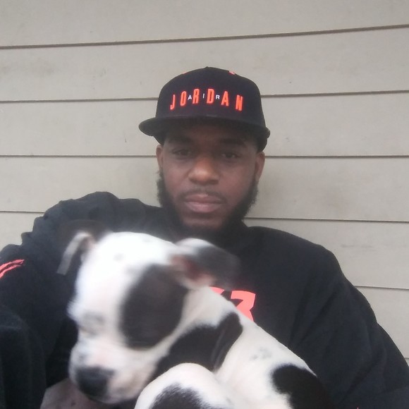 Meet your Posher, Jarvis - Picture 1 of 1